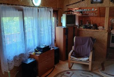 Casă cu 2 camere cu Teren 3400 Mp în Ghelari - 10