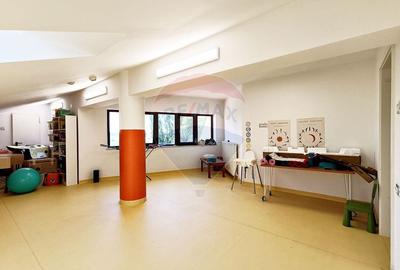Proprietate specială, de 2,650 mp, în Băneasa - 48