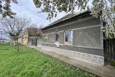 Casă cu Teren 2791 Mp în Sânmartinu Maghiar - 9