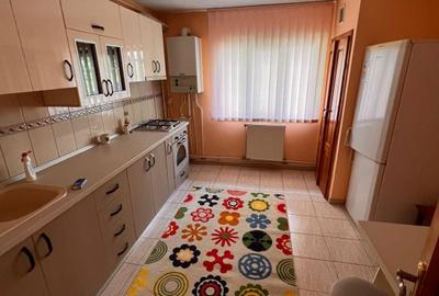 Apartament cu 2 camere în Coman - 3