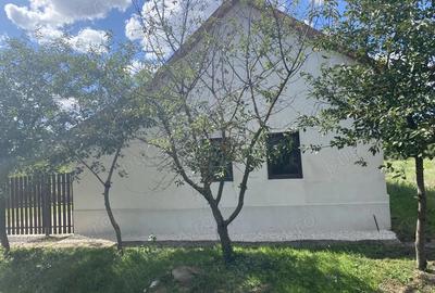 Casa de vanzare 15 minute de Arad , Ungaria , Dombegyhaz - 1