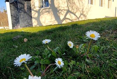 Casă cu 4 camere decomandat în Râu de Mori - 8