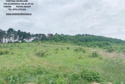 Teren zona Pietricica, cadru natural superb - 2