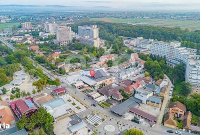Spațiu comercial, de 530 mp, în Băile Felix - 19