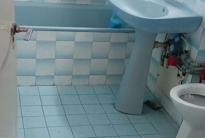 Apartament cu 3 camere decomandat în Baba-Dochia - 4