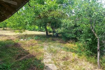 Teren Construcții intravilan de 3551 mp, în Poiana Copăceni - 27