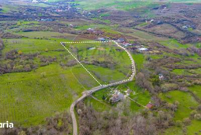 Teren de 33500 mp, în Bucov - 10
