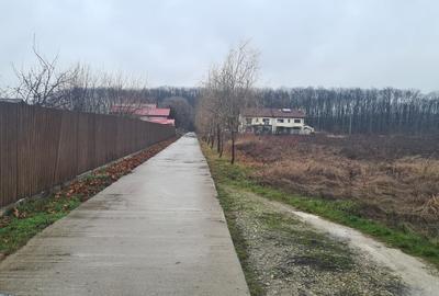 Teren premium 26.651mp Corbeanca – acces la A0 si DN1 - 4