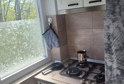 Apartament cu 2 camere semidecomandat în Drumul Taberei - 6
