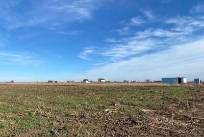 Teren de 454 mp, în Berceni - 4