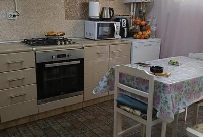 Vila Nicolae Grigorescu - 7