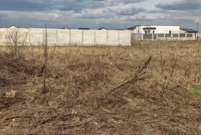 Teren Construcții de 7032 mp, în Berceni - 9