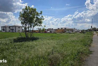 Teren de 9600 mp, în Niculești - 18