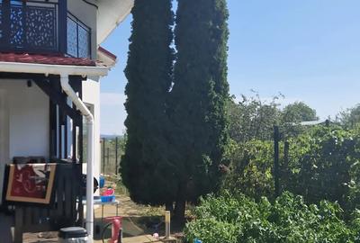 A 49 Vila LUX Letea , 320 mp utili cu 2294 mp teren intravilan - 3