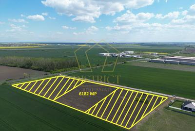 Teren Construcții intravilan de 6182 mp, în Sânandrei - 1