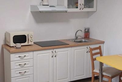 Apartament cu 2 camere semidecomandat în Drumul Carului - 4