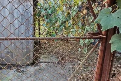 Vand casa cu etaj in localitatea Lapu?nic - 2