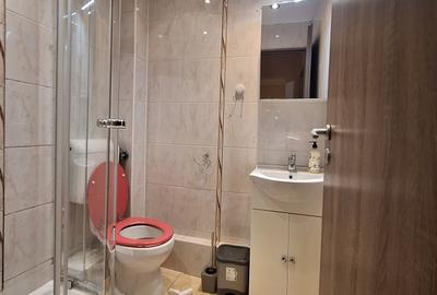 480 euro!!!.Ap.cu 3 camere Et 1 cu centrala proprie Zona Girocului - 13