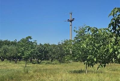TEREN INTRAVILAN DEVANZARE 33161 MP DE VANZARE TARGU OCNA - 5