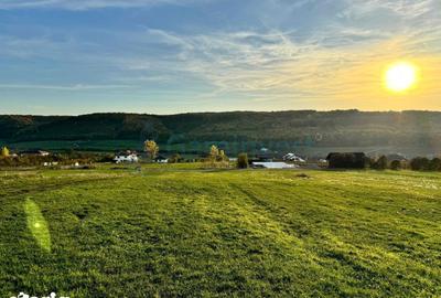 Teren de 5487 mp, în Sânmartin - 6