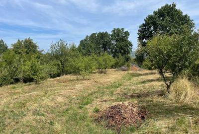 Teren de 2359 mp, în Valea lui Enache - 4