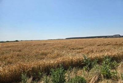 Teren de 1080 mp, în Măgurele - 6