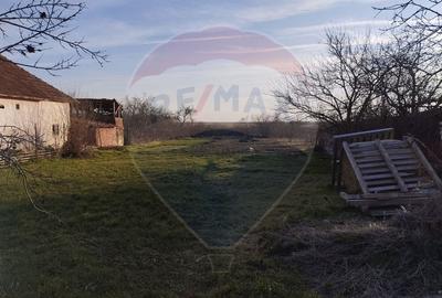 Teren 1,325mp Frumuseni / Strada PRINCIPALA - 2