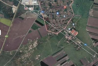 Teren de 48100 mp, în Nădab - 1