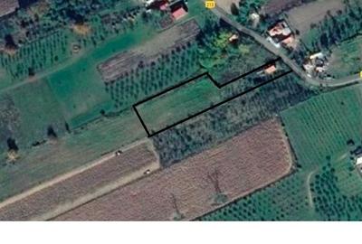 Casa de Vanzare Baiculesti Arges - 8