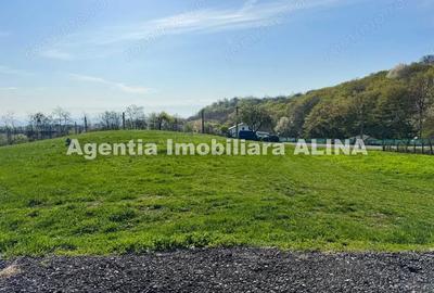 Teren intravilan 6.516 mp in Deva, prelungire str. Vulcan, spre Almas, Jud. Hunedoara. - 5