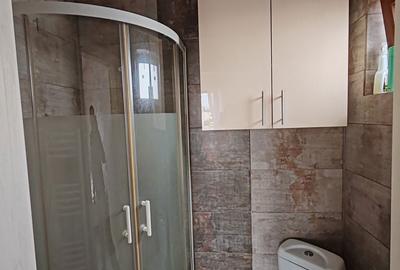 Apartament cu 3 camere în Chiajna - 11