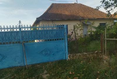 Vand casa locuibila cu vie ?i teren In sat Doh, comuna Maeriste - 3