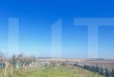 Teren de 5000 mp, în Orășeni-Vale - 2