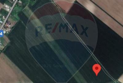 Teren de 25066 mp, în Drăgăneasca - 5