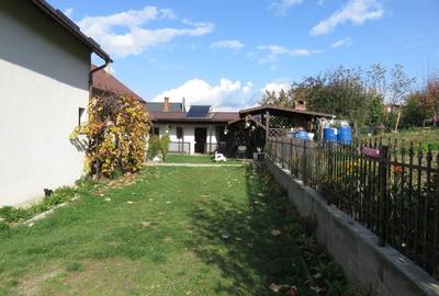 Proprietate Sannicoara, teren 1000 mp! - 8