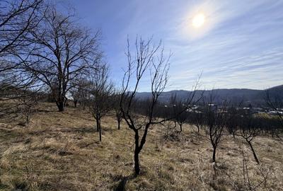 Casă individuală cu 5 camere cu Garaj în Livadea - 41
