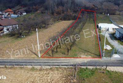 Spațiu comercial, în Cerbu - 1