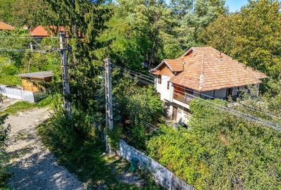 Casa D+P+E cu teren 1023 mp, Slanic Prahova - 12