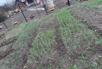 Spațiu comercial, în Sâncraiu Almașului - 5