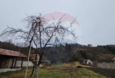 CASA 3 CAMERE SINCA NOUA / 5650 mp teren - 3