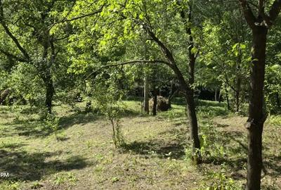 Casă cu 2 camere cu Teren 5300 Mp în Breaza - 1