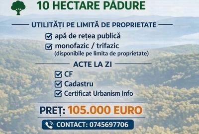 Spațiu comercial, în Sud