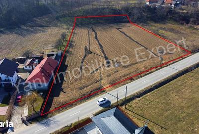 Teren de 5600 mp, în Băiculești - 9