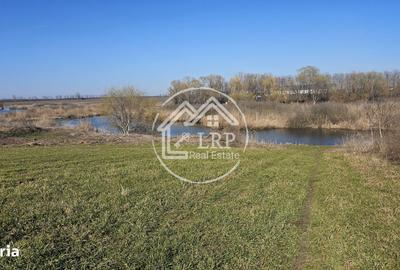 Teren de 646 mp, în Dascălu - 3