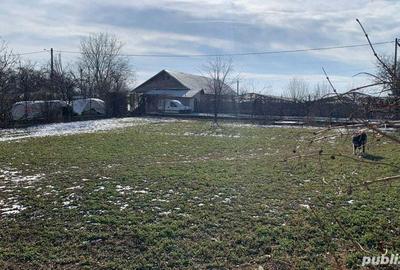 Casă cu 6 camere cu Teren 1800 Mp în Brazii - 5