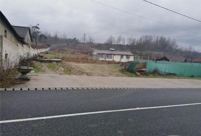 Spațiu comercial, în Bucium - 5