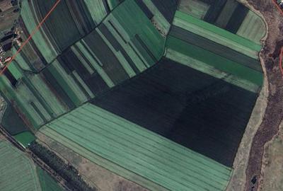 Teren de 3000000 mp, în Drăgănești-Vlașca - 1