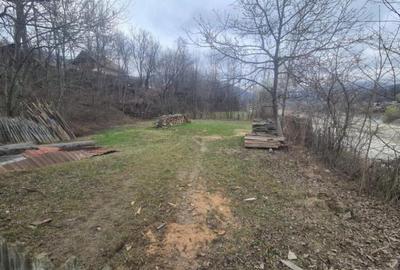 Teren de vanzare in Comarnic - 3