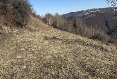 Spațiu comercial, în Mărișel - 6