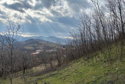 Teren intravilan 5.000 mp Cisnadioara / jud. Siibu - 5